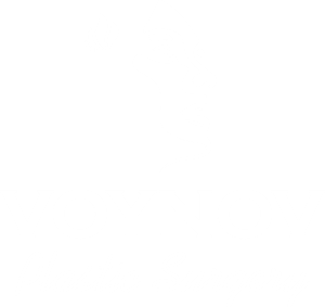 drvoynov-transparent-logo-V
